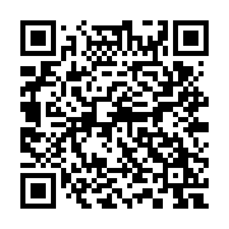 QR code for 341VPO