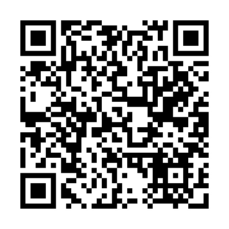 QR code for 343CHO