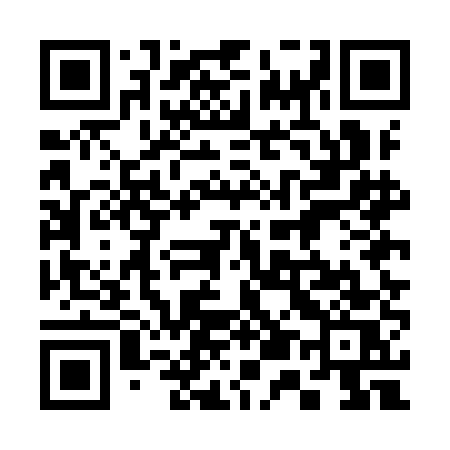 QR code for 355IES
