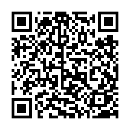 QR code for 358FYP