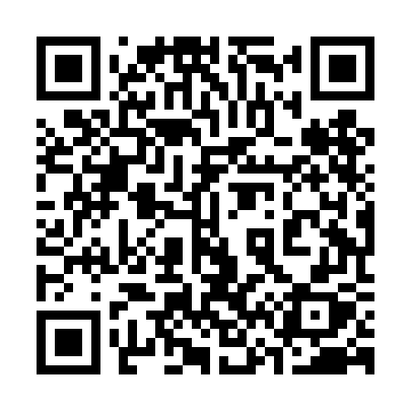 QR code for 368DGX