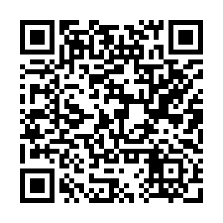 QR code for 36P993