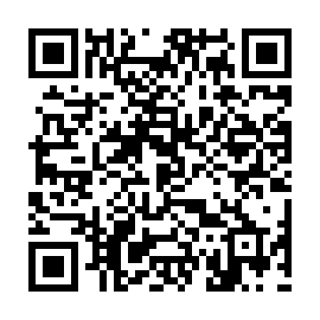 QR code for 370HZP