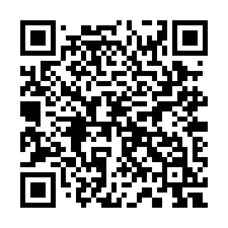 QR code for 370PIN