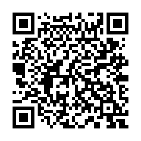 QR code for 370VIE
