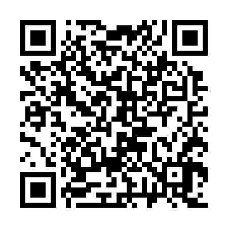QR code for 375C66