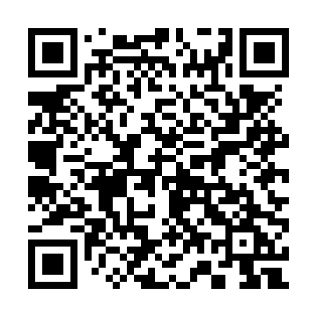 QR code for 375NPG