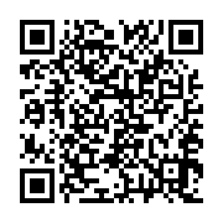 QR code for 375P55