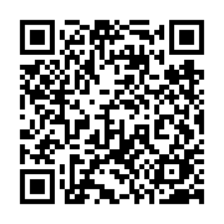 QR code for 377FPM