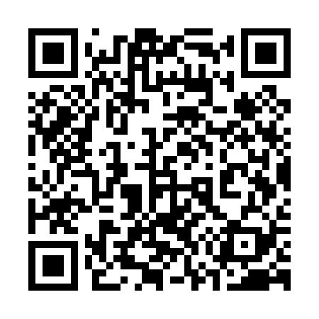 QR code for 377P29