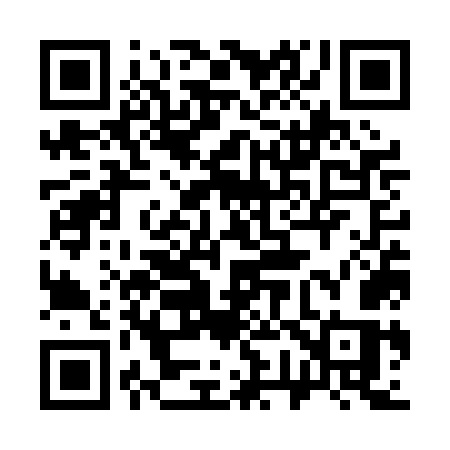 QR code for 377POS