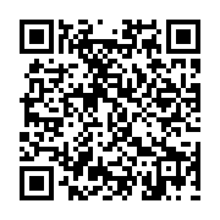 QR code for 378P29
