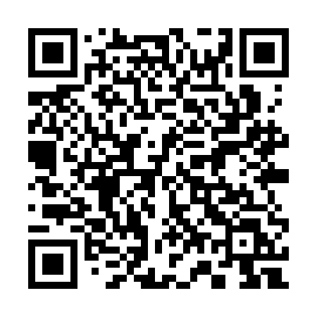 QR code for 379SEL