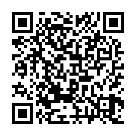 QR code for 379Y29