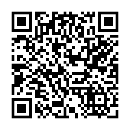 QR code for 380C65