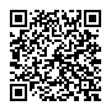 QR code for 380PFS