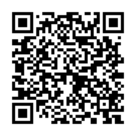 QR code for 380Q09