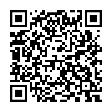 QR code for 381CYG
