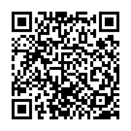 QR code for 381G58