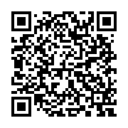 QR code for 381G93
