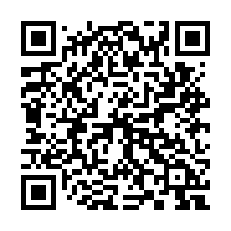 QR code for 381GZD