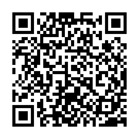 QR code for 381Q01