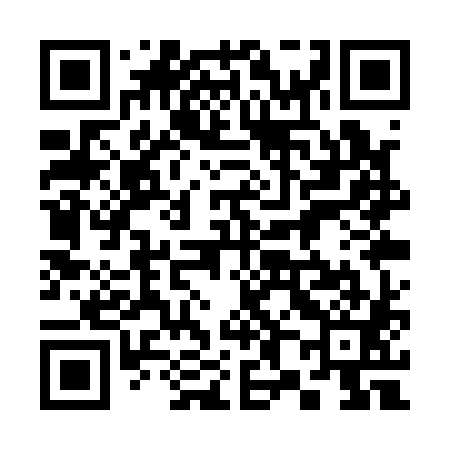 QR code for 381Q81