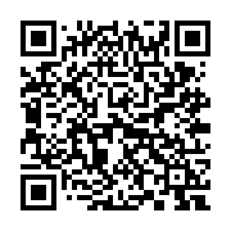 QR code for 381VOI