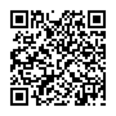 QR code for 381X87