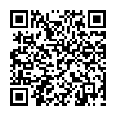 QR code for 381XPF