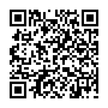 QR code for 381Y47