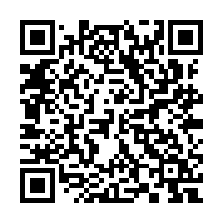 QR code for 381YAV