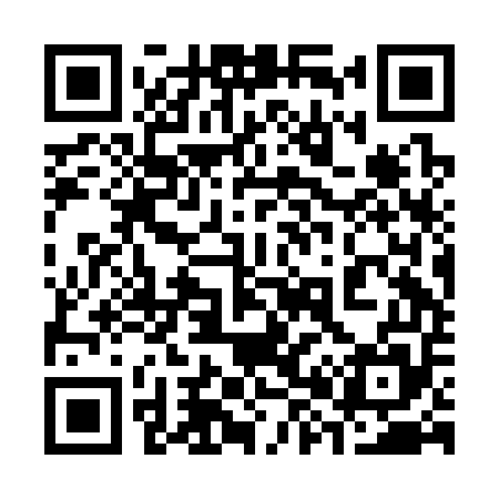 QR code for 382C55