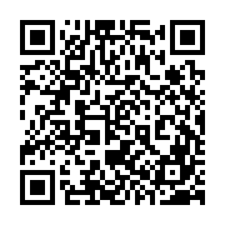 QR code for 382C66