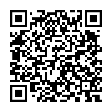 QR code for 382D53