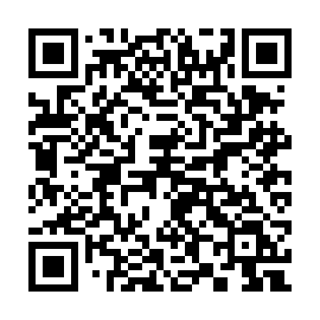 QR code for 382DBL