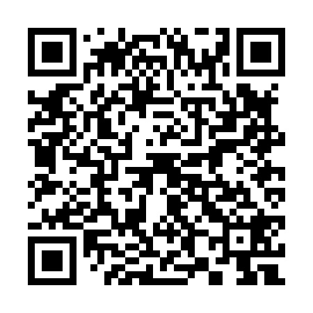 QR code for 382H28