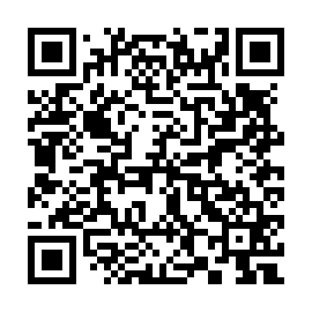 QR code for 382N61