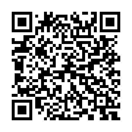QR code for 382OPH