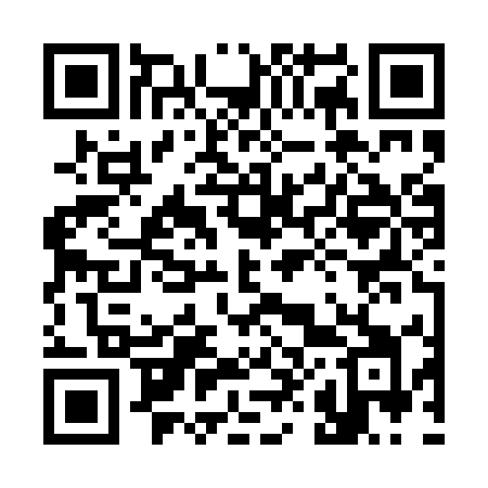 QR code for 382PUI