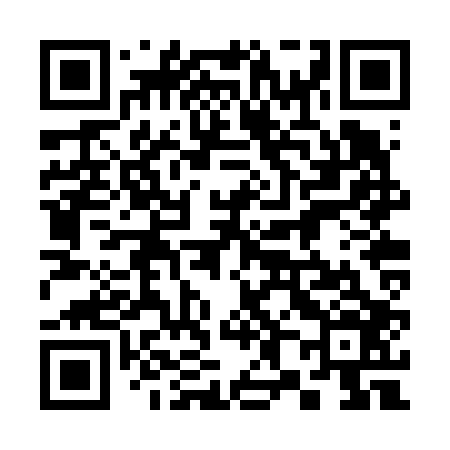 QR code for 382V06