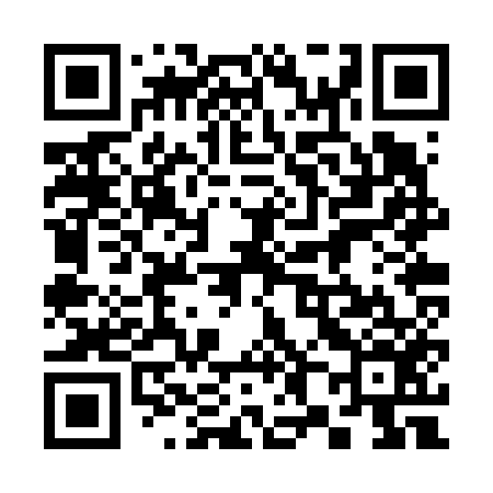 QR code for 382V56