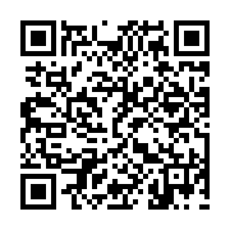 QR code for 382X95