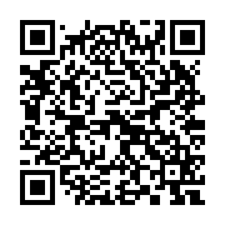 QR code for 382Z65