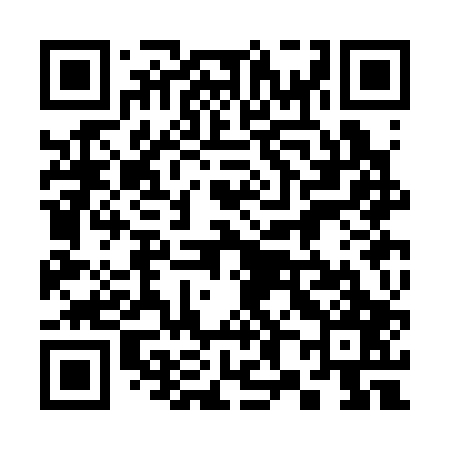 QR code for 383C07