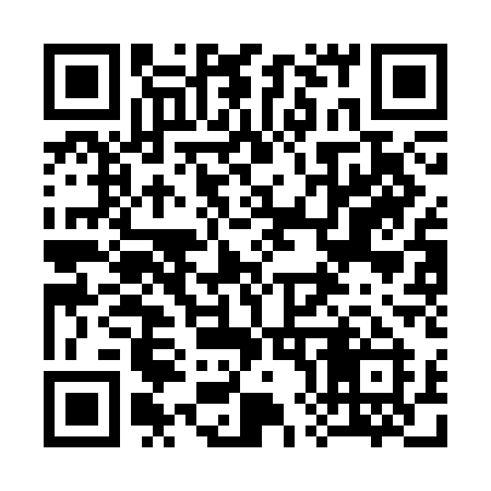 QR code for 383CAI