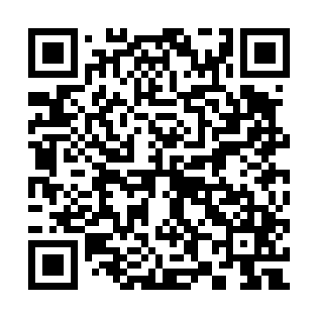QR code for 383D45