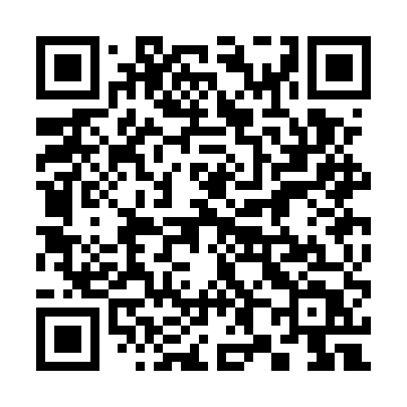 QR code for 383EUT