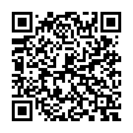 QR code for 383FJP