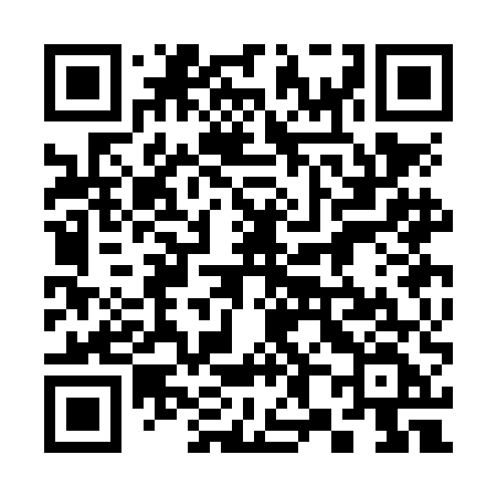 QR code for 383NEF